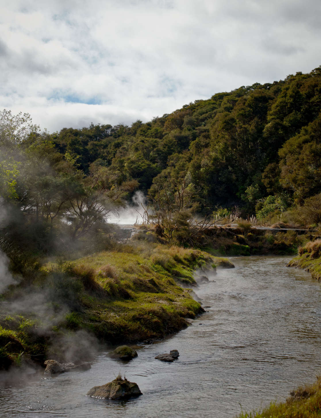Hot Springs in Waimangu Volcanic Valley